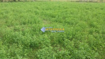teren-intravilan-de-vanzare-650mp-zona-partos